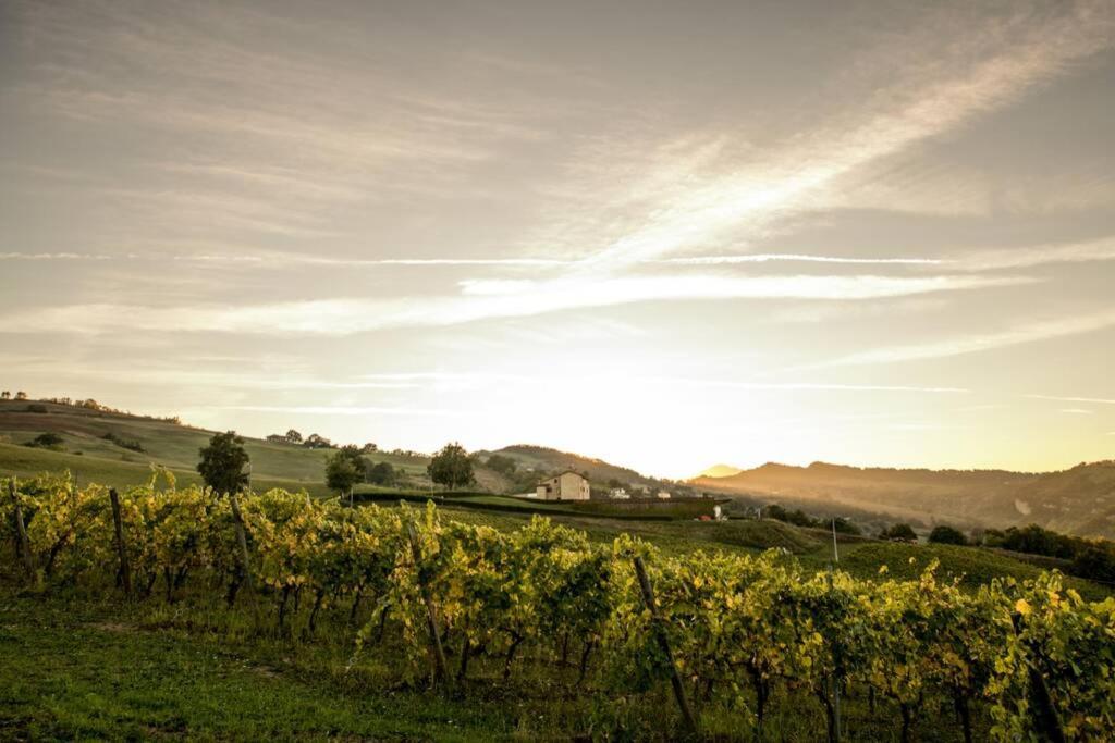 La Casa Vacanza Con Vista Panoramica Sui Vigneti Rotella Exterior foto