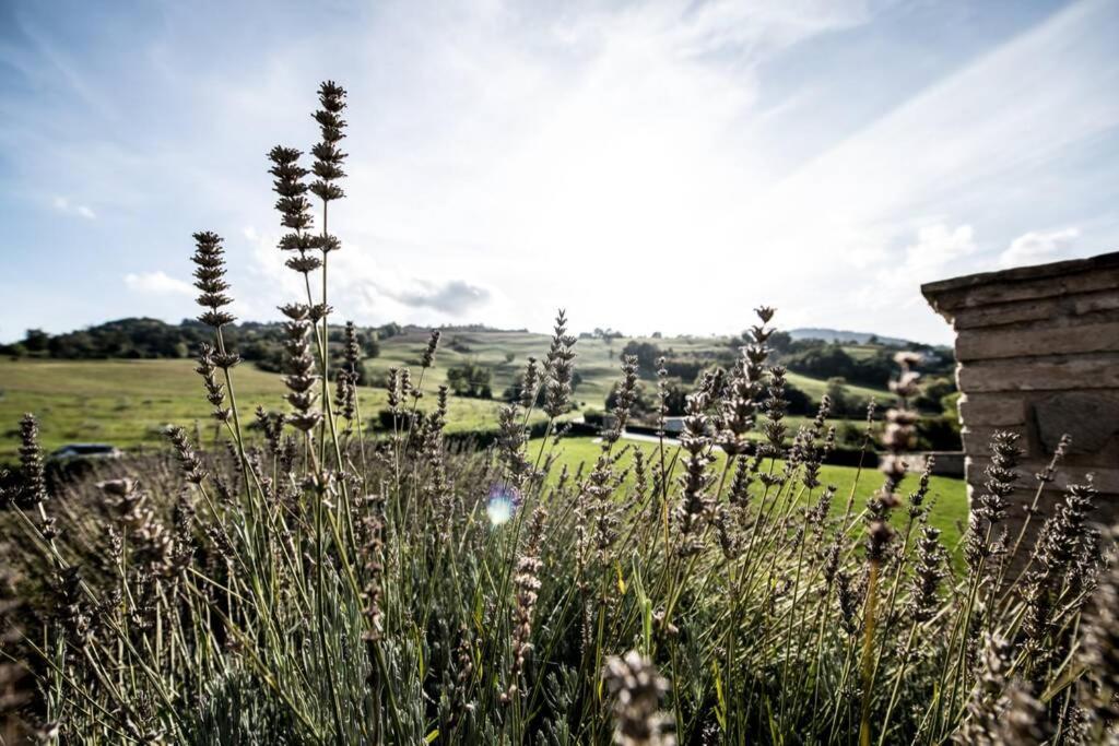 La Casa Vacanza Con Vista Panoramica Sui Vigneti Rotella Exterior foto